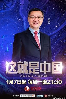 平静的海滩